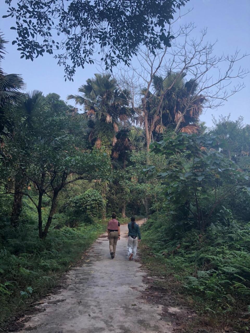 Bikki'S Jungle Homestay ハザン エクステリア 写真