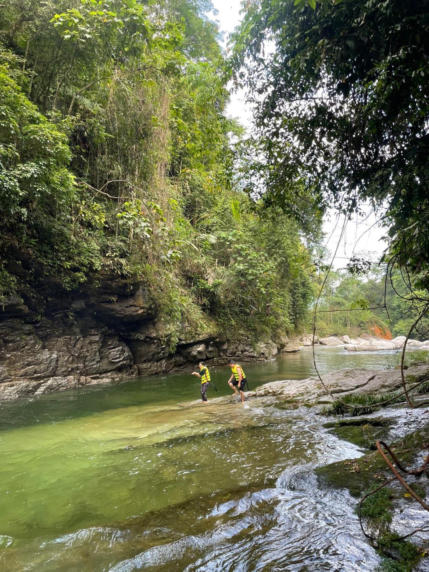 Bikki'S Jungle Homestay ハザン エクステリア 写真