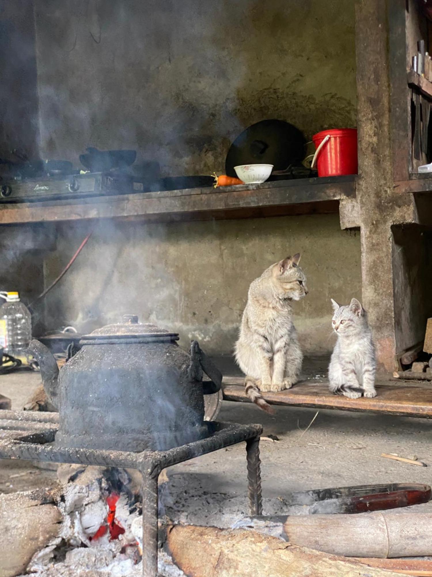 Bikki'S Jungle Homestay ハザン エクステリア 写真