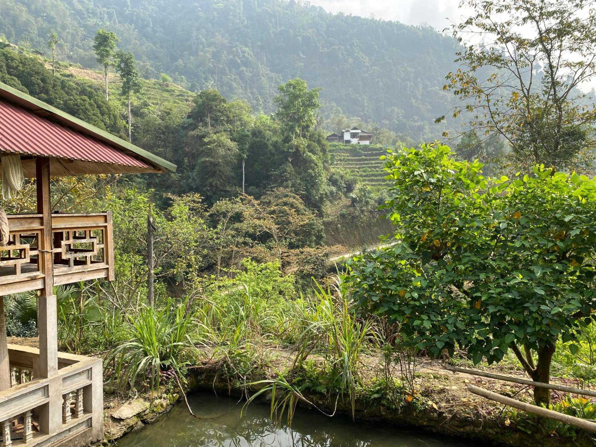 Bikki'S Jungle Homestay ハザン エクステリア 写真