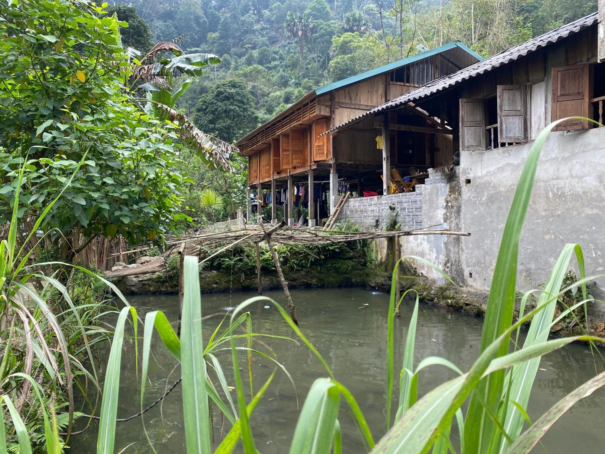 Bikki'S Jungle Homestay ハザン エクステリア 写真