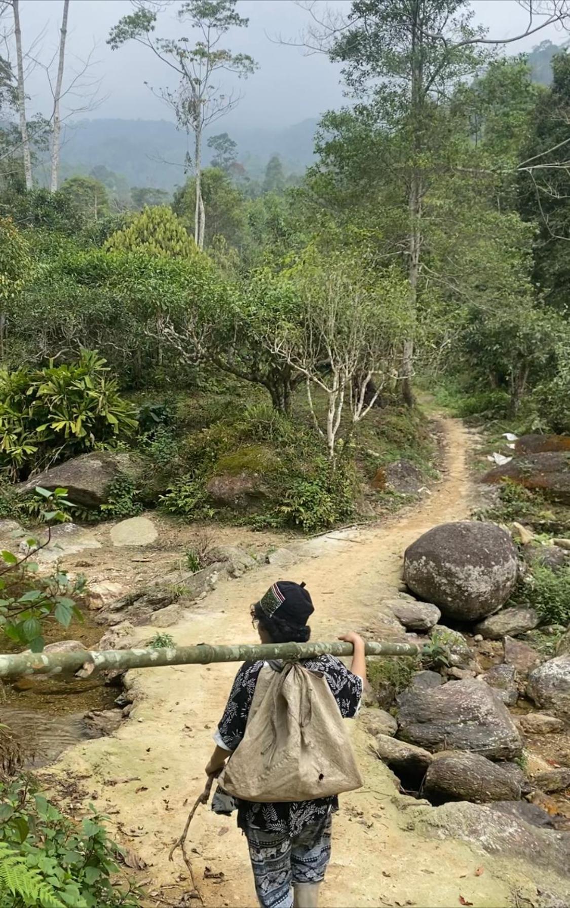 Bikki'S Jungle Homestay ハザン エクステリア 写真